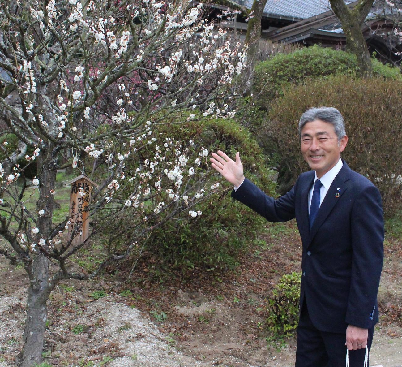 太宰府天満宮で昨年植樹した満開の梅の花を見て、喜ぶ福岡・長谷部茂利監督（撮影・菊川光一）