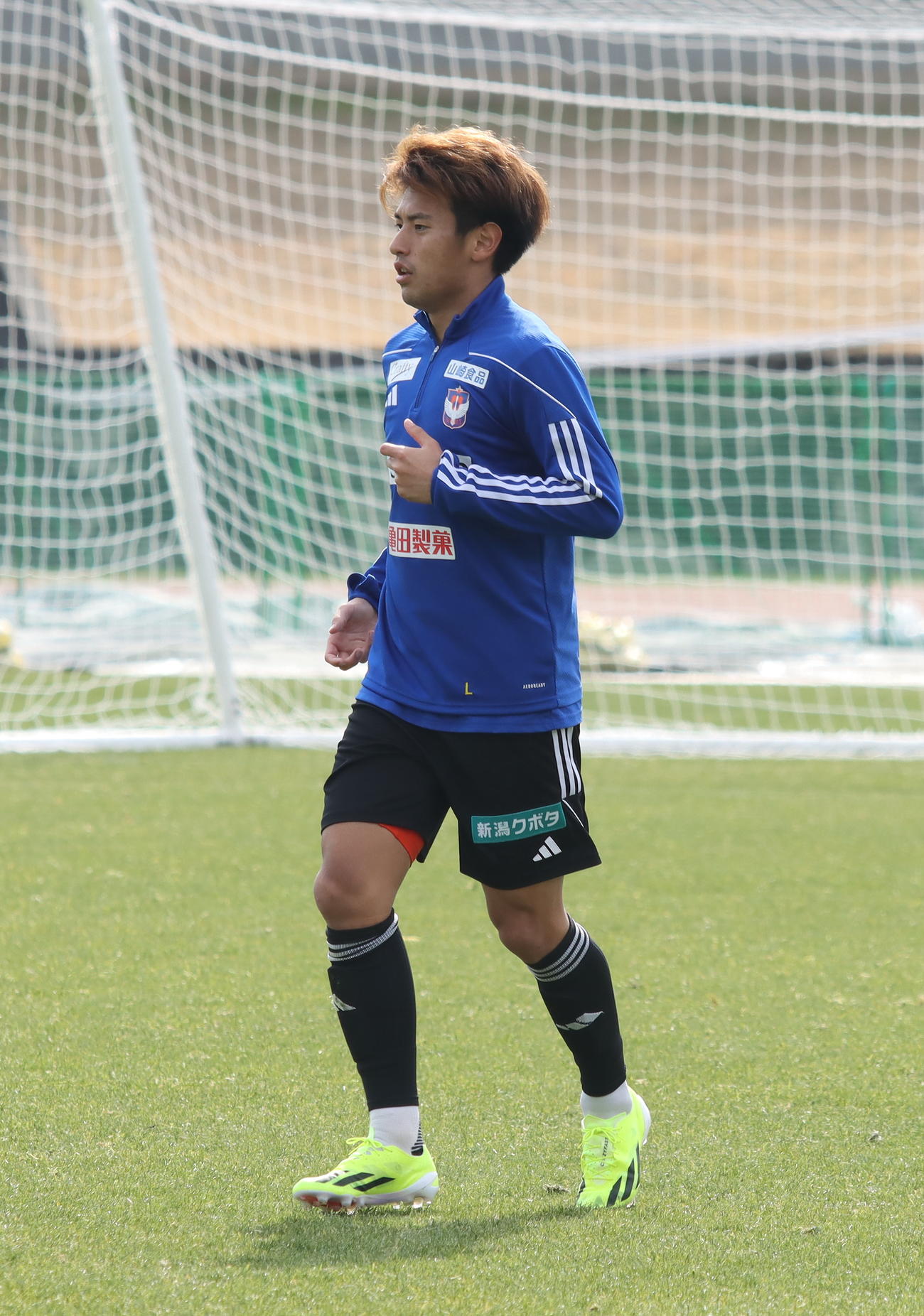 高知キャンプ中の松田（アルビレックス新潟提供）