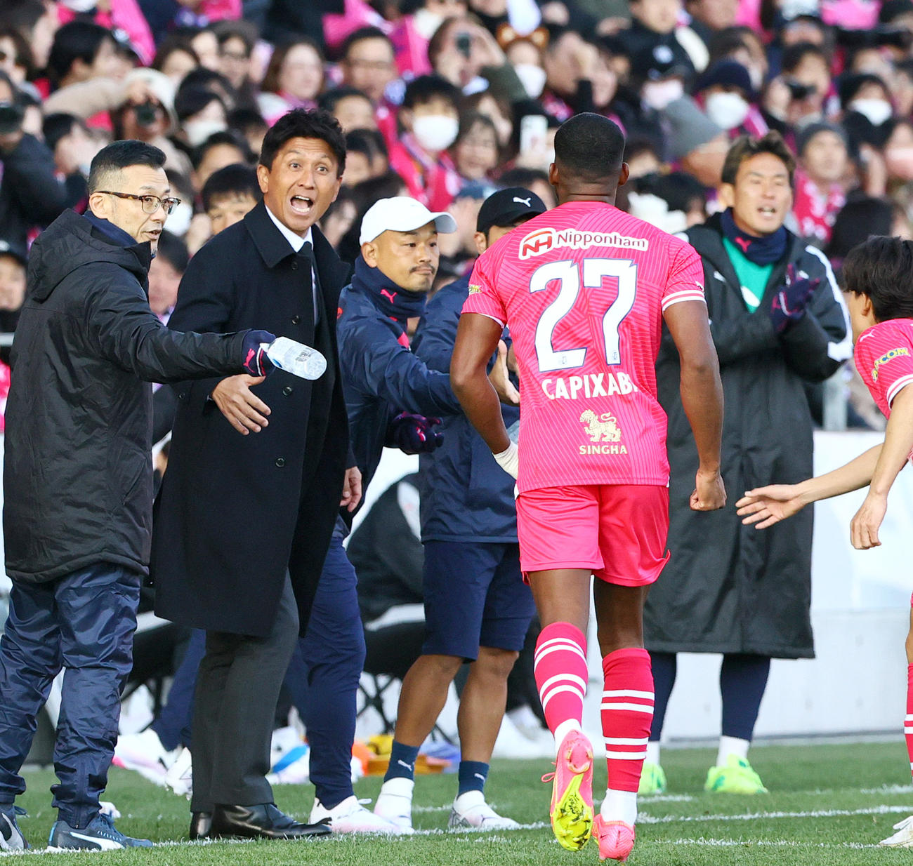 C大阪対東京　前半、C大阪小菊監督（左から2人目）はゴールを決めたC大阪カピシャーバを祝福する（撮影・上山淳一）