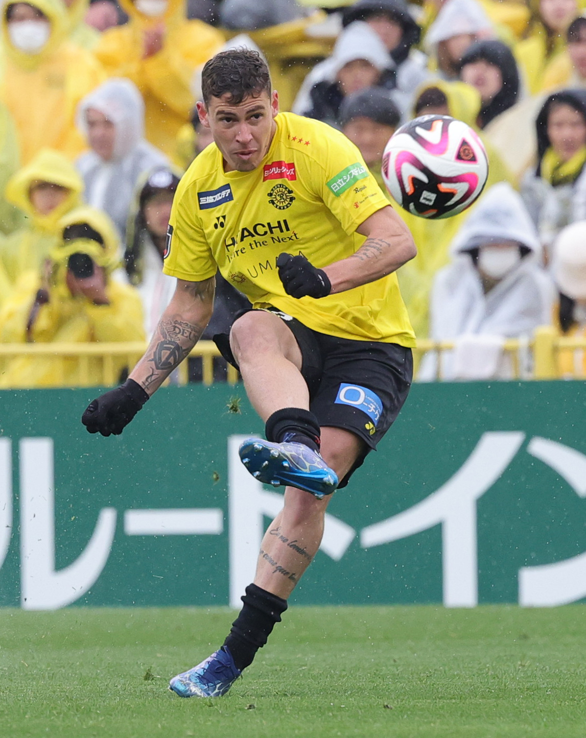 柏対京都　後半、先制ゴールを決める柏マテウス・サヴィオ（撮影・野上伸悟）