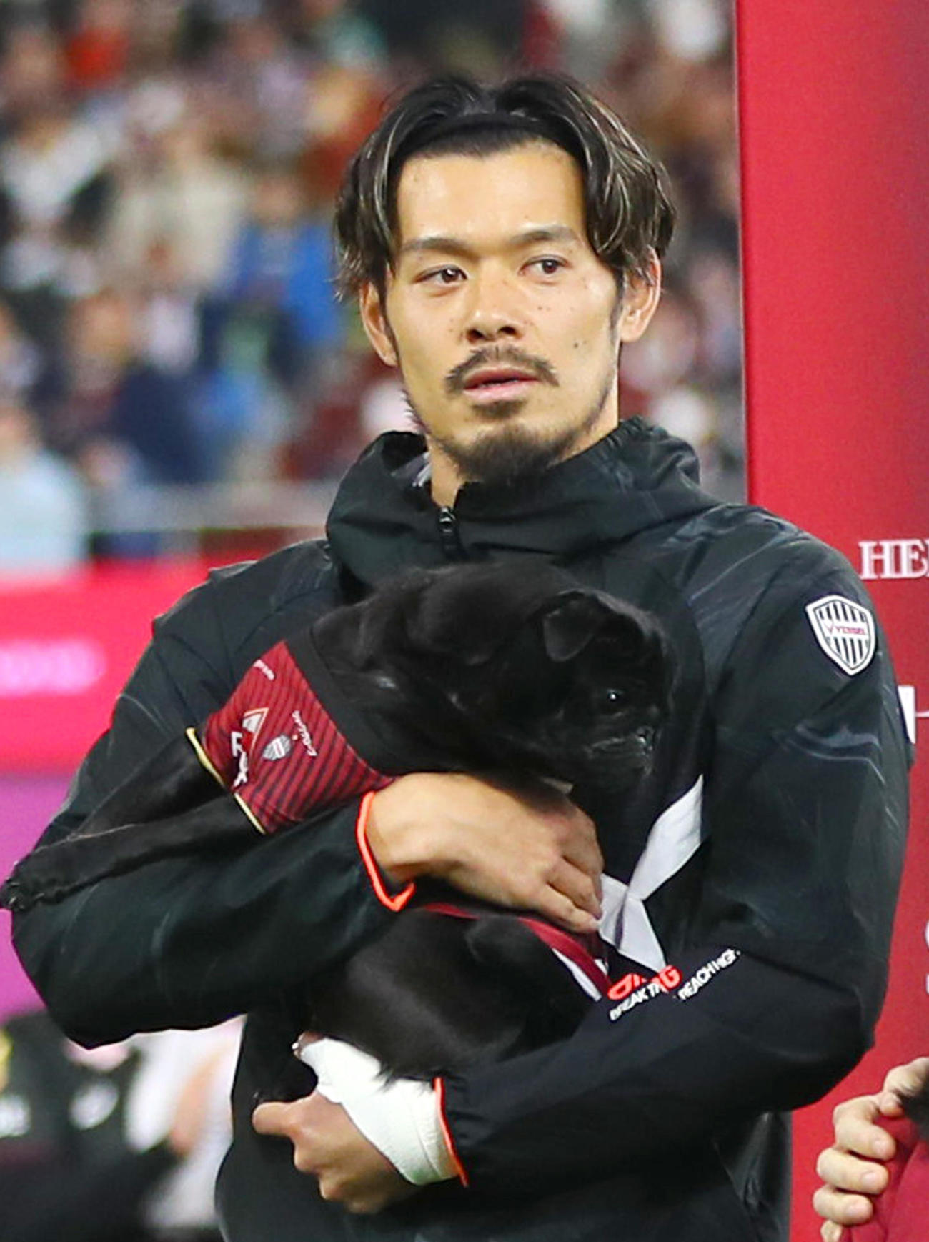 愛犬を抱え入場する神戸山口（撮影・上山淳一）