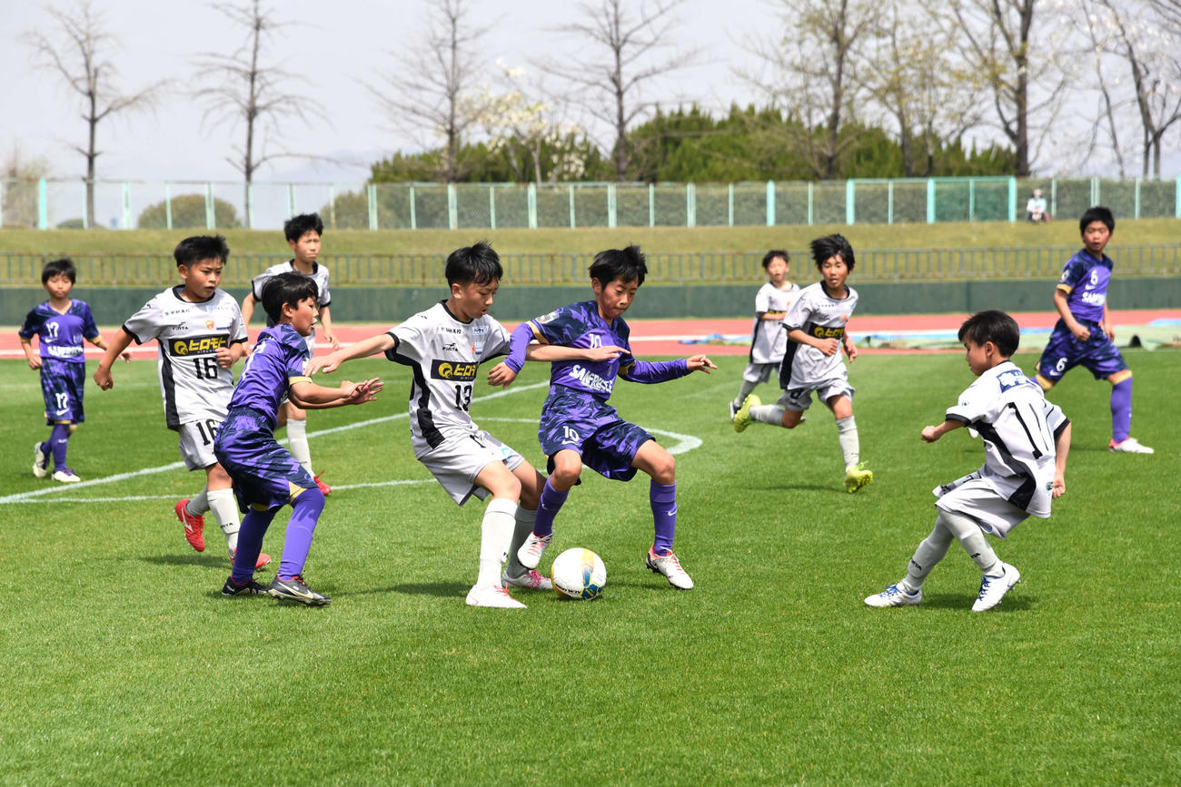 中盤で激しくボールを競り合うサンフレッチェ広島F.Cジュニアとレノファ山口ウェストFC U－12の選手たち