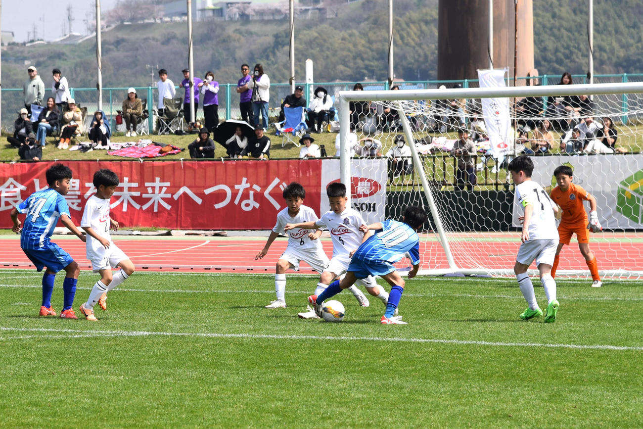 全国切符をかけた準決勝で激しい攻防を繰り返すサンフレッチェくにびきFC U－12とFeliazzurro FCの選手たち