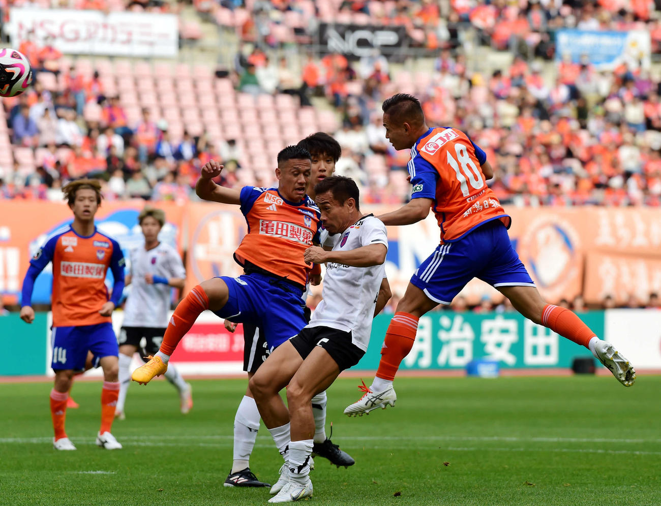 新潟対東京　後半、ゴールを決めた新潟早川（右）（撮影・大島享也）