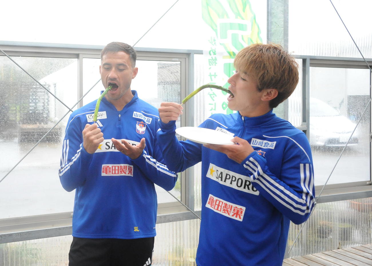 4月30日、アスパラガスを試食する舞行龍ジェームズ（左）と長倉