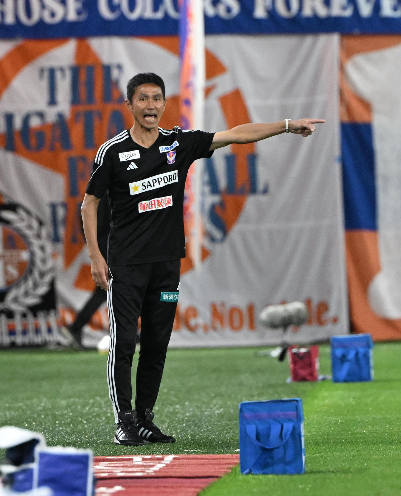 神戸対新潟　ピッチサイドから指示を出す新潟松橋監督（撮影・和賀正仁）