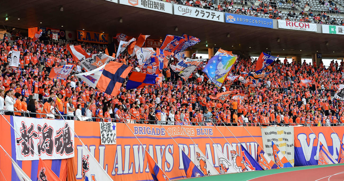 新潟対横浜　試合前、盛り上がる新潟サポーター（撮影・大島享也）