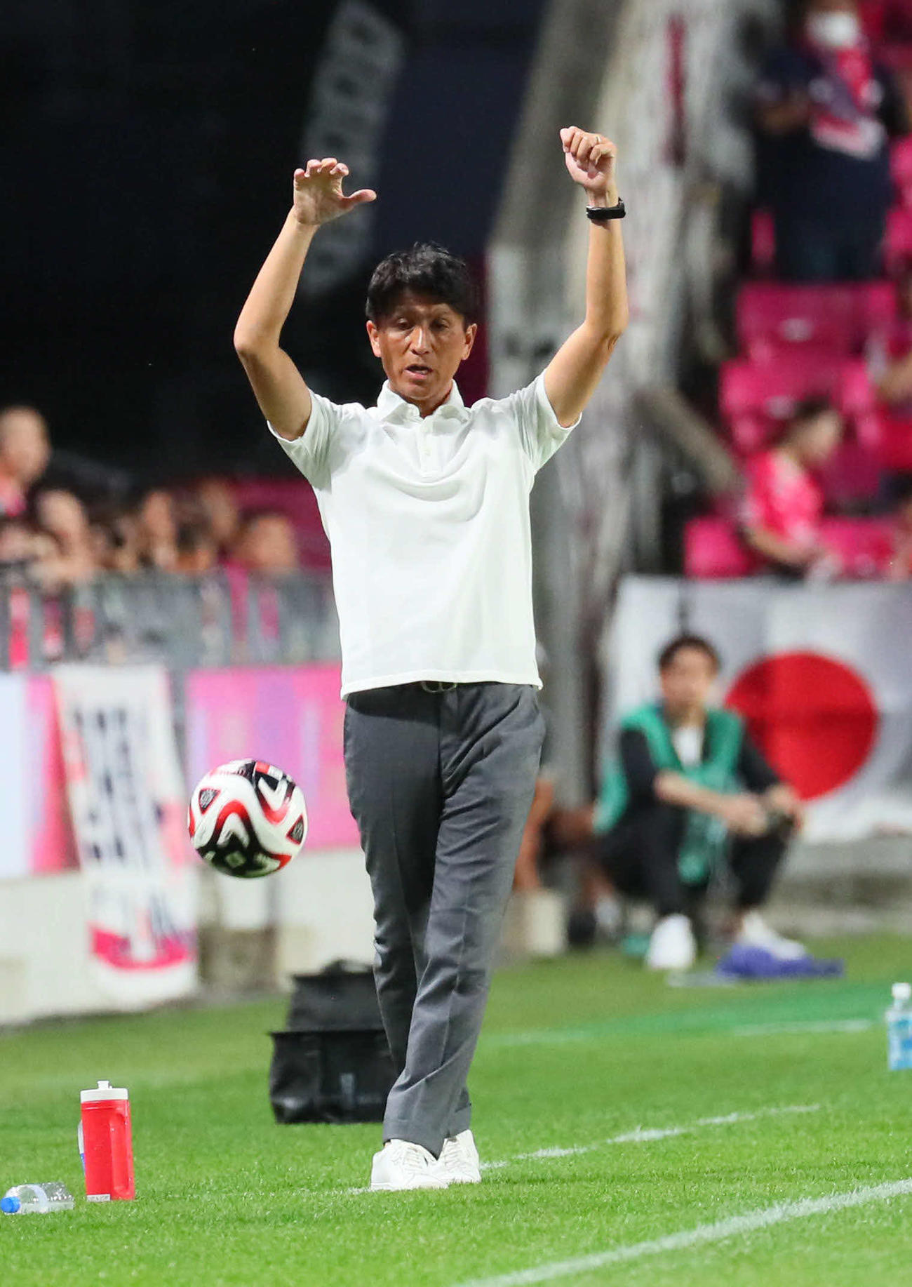 C大阪対町田　戦況を見つめるC大阪小菊昭雄監督（撮影・宮崎幸一）