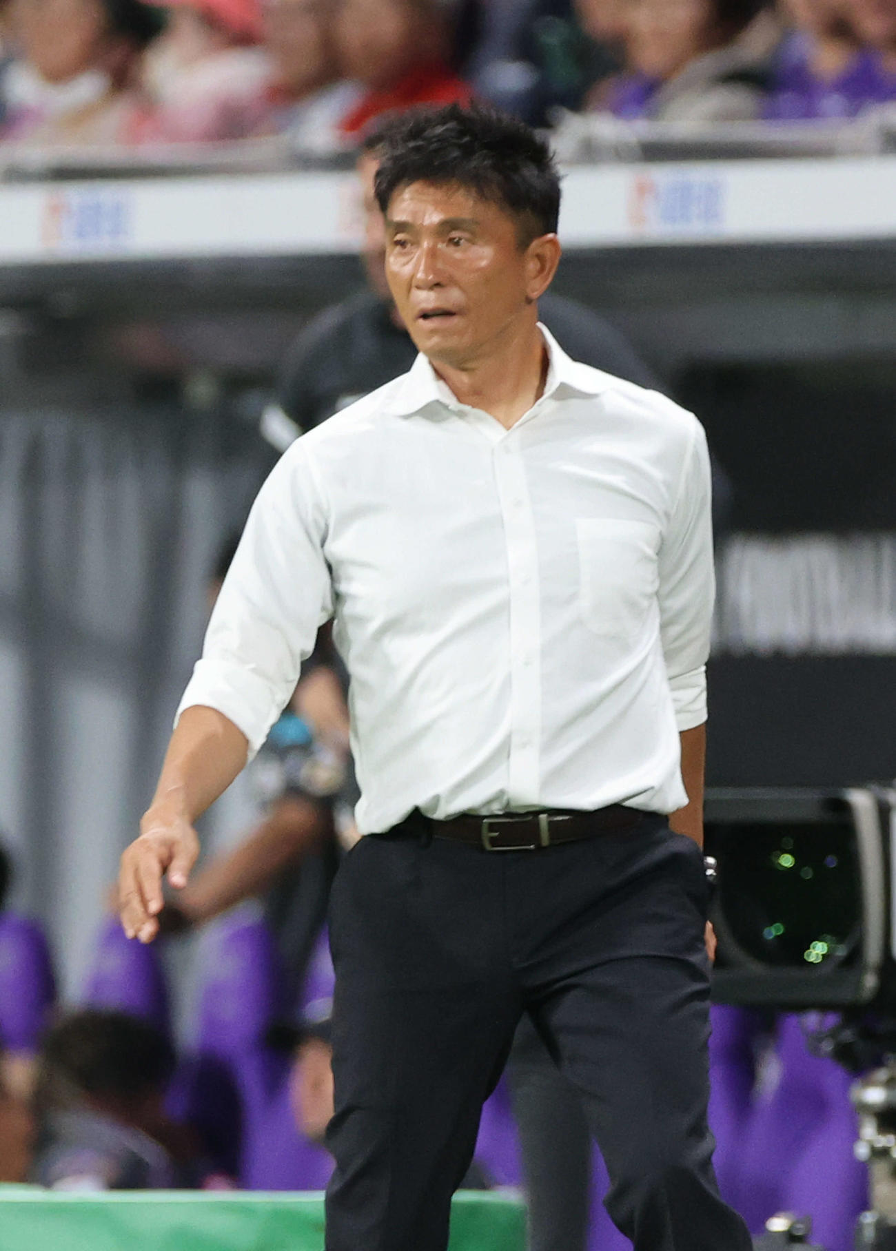 広島対東京V　後半　東京V城福監督（撮影・加藤孝規）