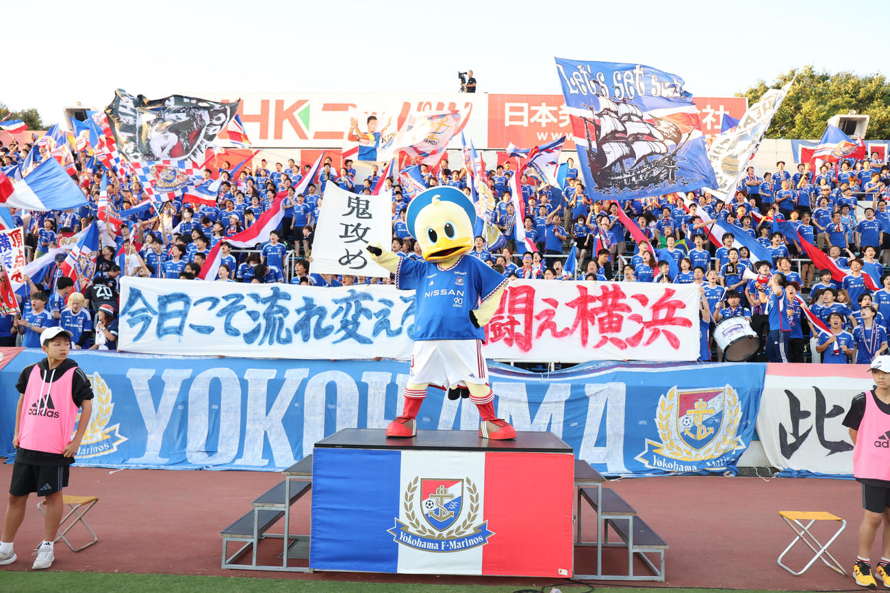 横浜対広島　盛り上がる横浜サポーター（撮影・野上伸悟）