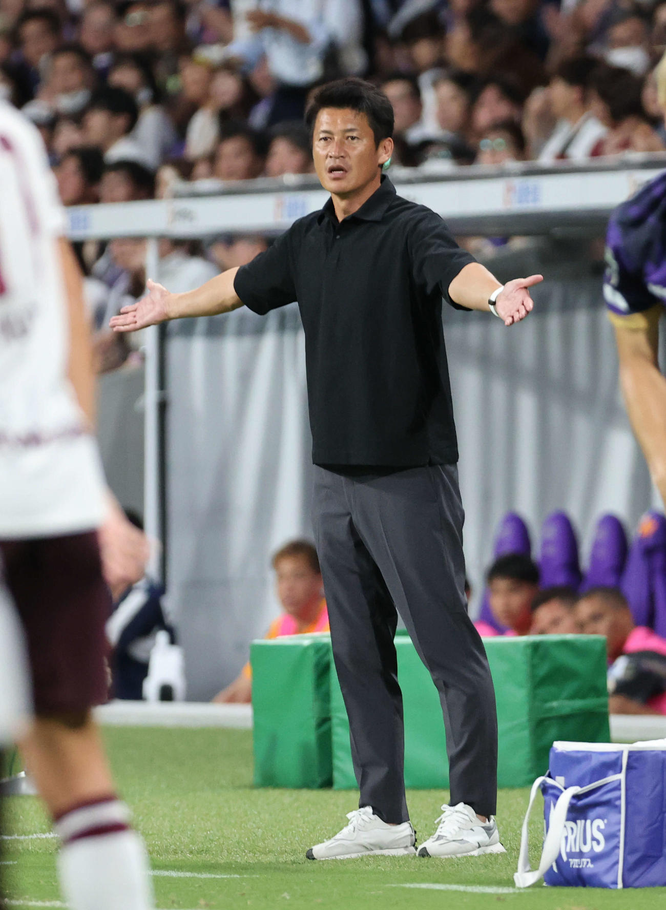 広島対神戸　前半　神戸吉田監督（撮影・加藤孝規）