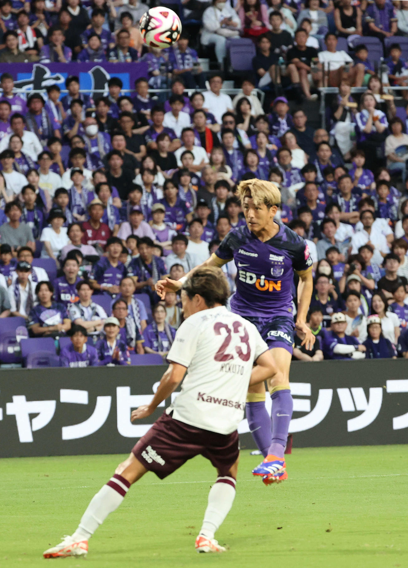 広島対神戸　前半　広島新井が同点ゴールを決める（撮影・加藤孝規）
