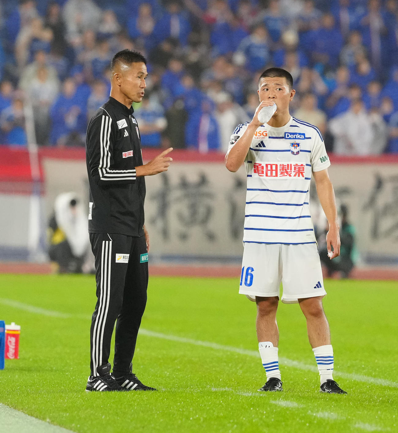 横浜対新潟　前半、新潟小見（右）に指示を出す松橋監督（撮影・江口和貴）