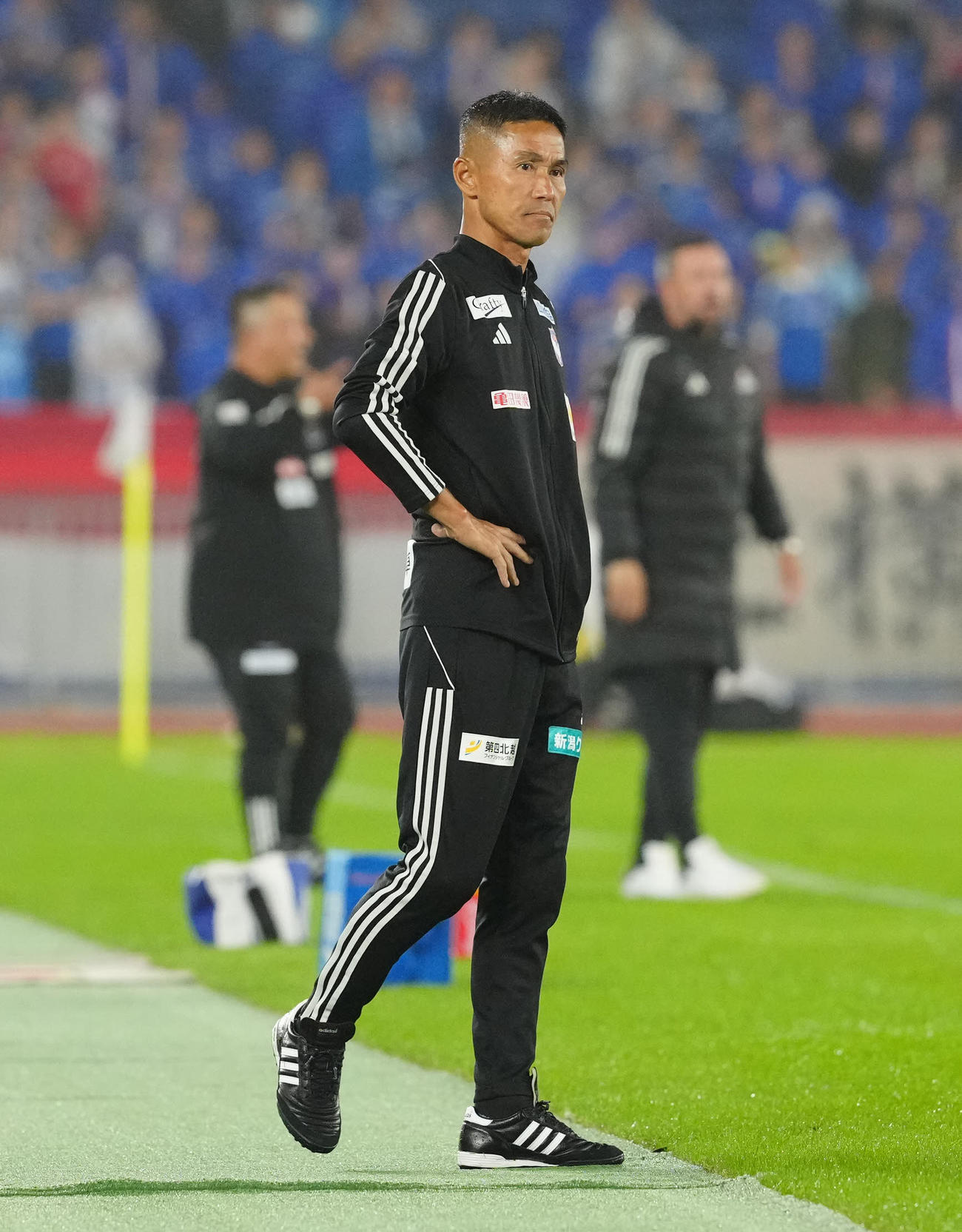 横浜対新潟　前半、戦況を見つめる新潟松橋監督（撮影・江口和貴）