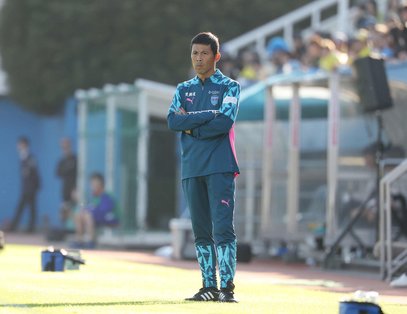横浜FC対栃木　後半、戦況を見つめる横浜FC四方田監督（撮影・宮地輝）