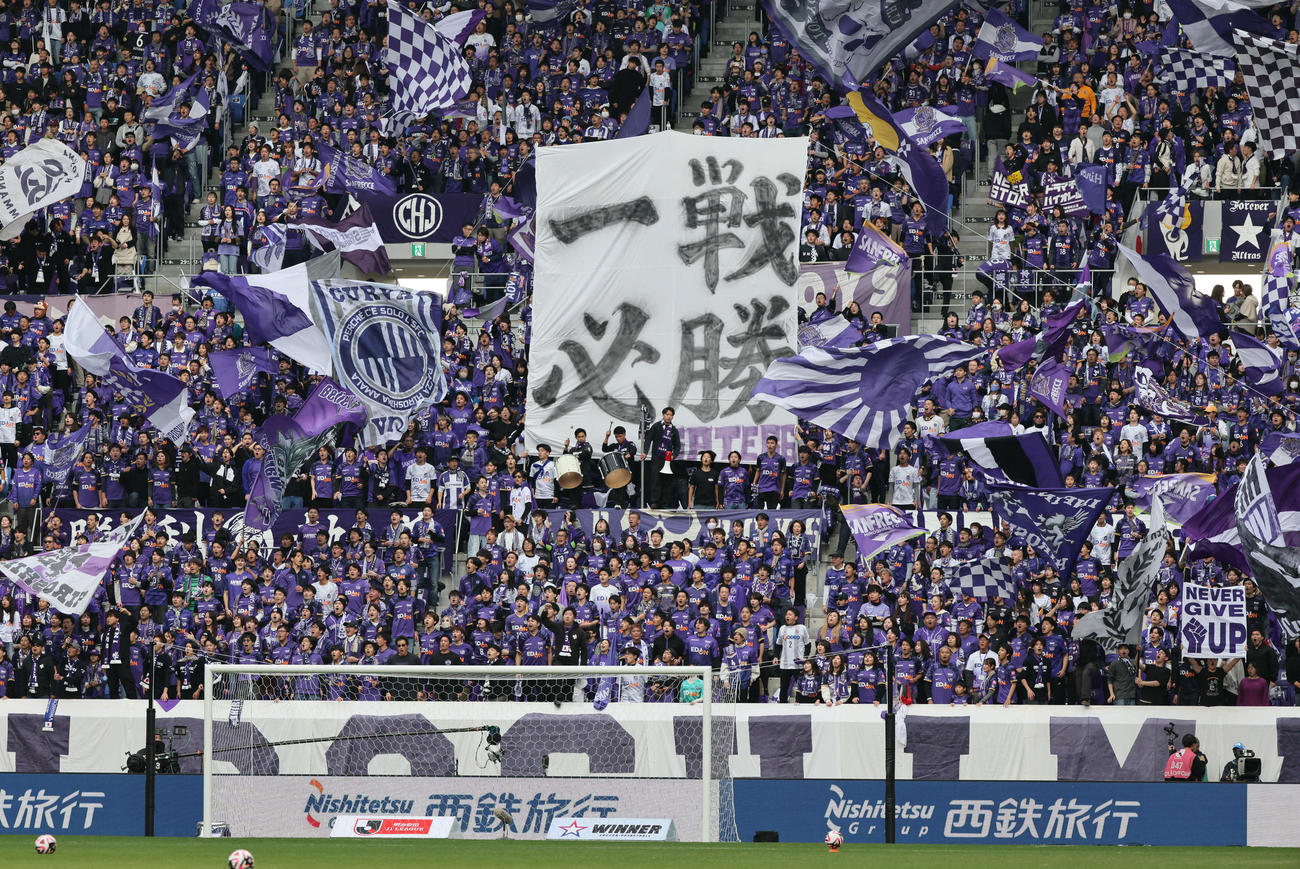 広島対札幌　試合前、応援する広島サポーター（撮影・加藤孝規）