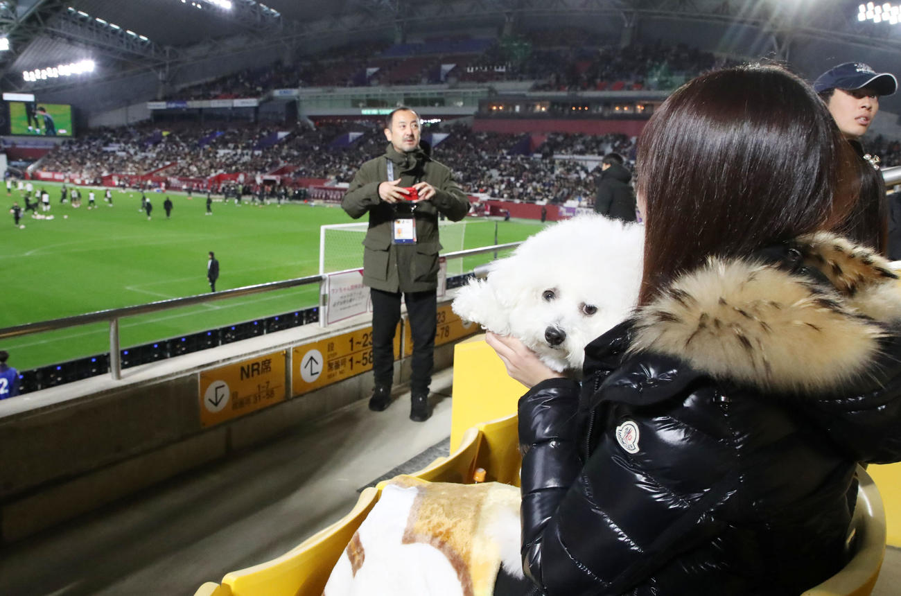 MAKINO JAPAN対KOBE STARS Jリーグ初の犬と一緒に観戦できる「愛犬とワッショイシート」がお目見え　外観（撮影・加藤哉）