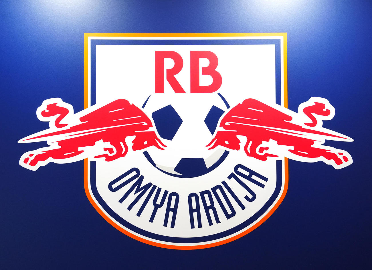 JリーグRB大宮のチームロゴ＝2025年1月9日