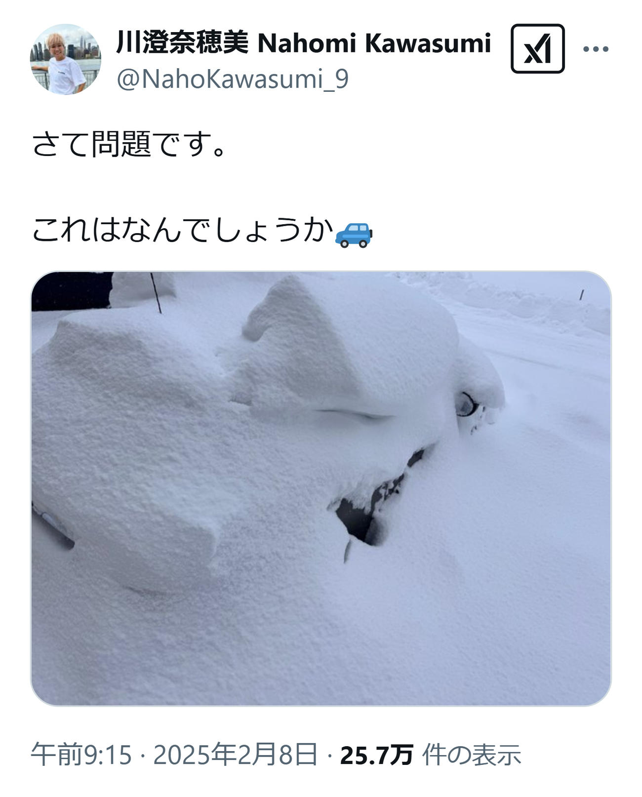 川澄奈穂美のXから