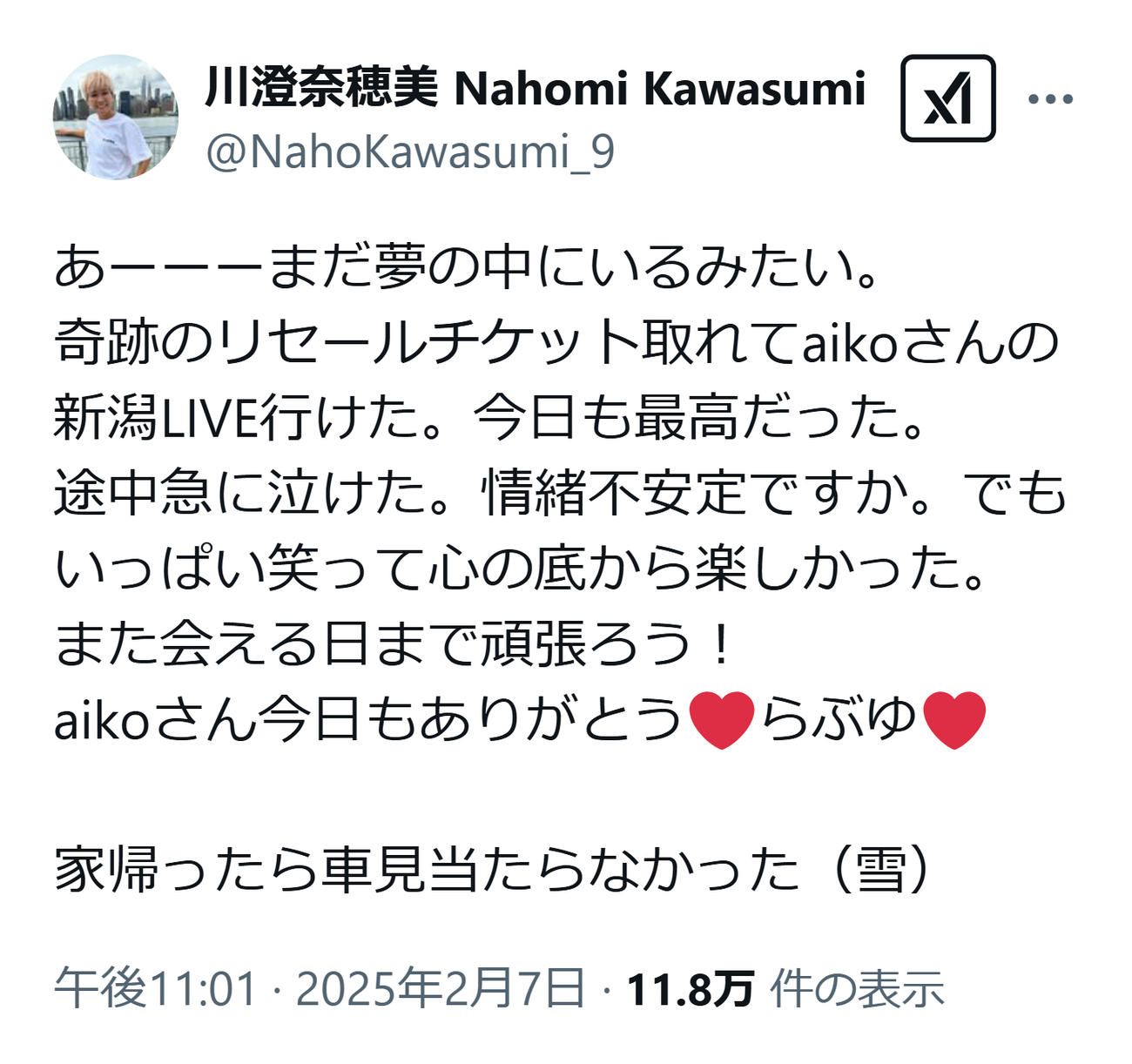 川澄奈穂美のXから