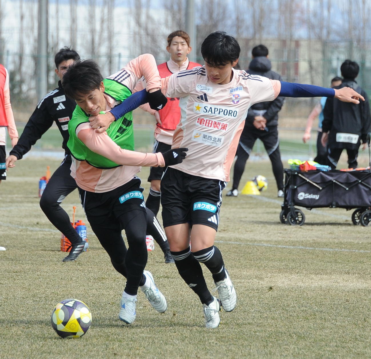 12日の練習で笠井（右）と激しく競り合う新井（撮影・小林忠）
