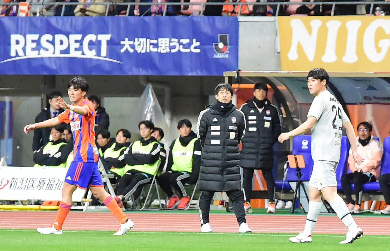 前半、ベンチ前から選手を見つめる新潟樹森監督（中央）（撮影・小林忠）