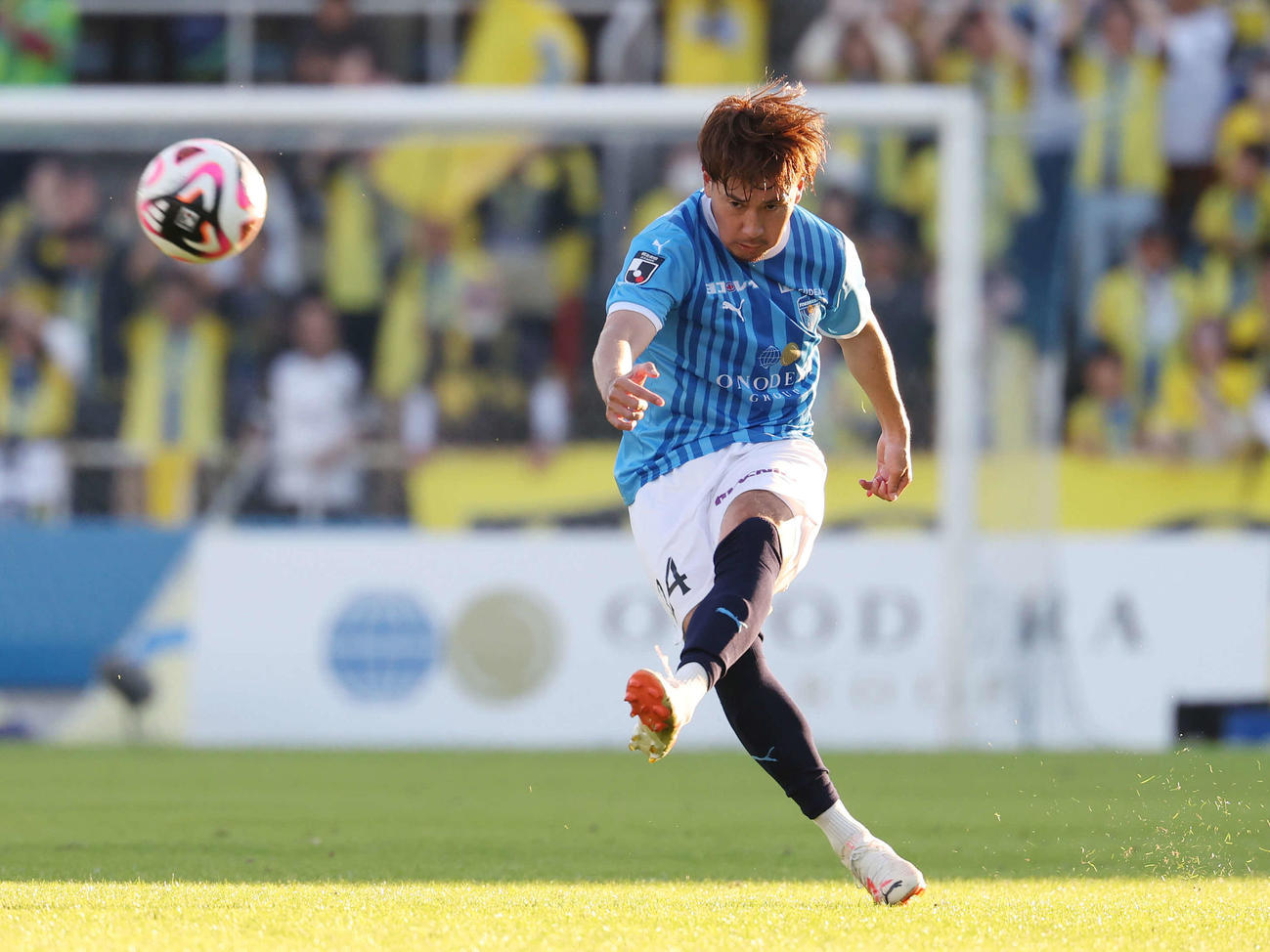 横浜FC福森晃斗（2024年11月3日撮影）