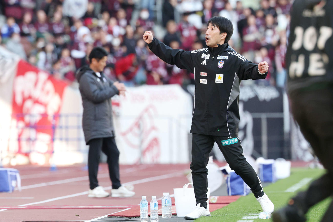 神戸対新潟　今季初勝利を挙げガッツポーズする新潟樹森監督（撮影・宮地輝）