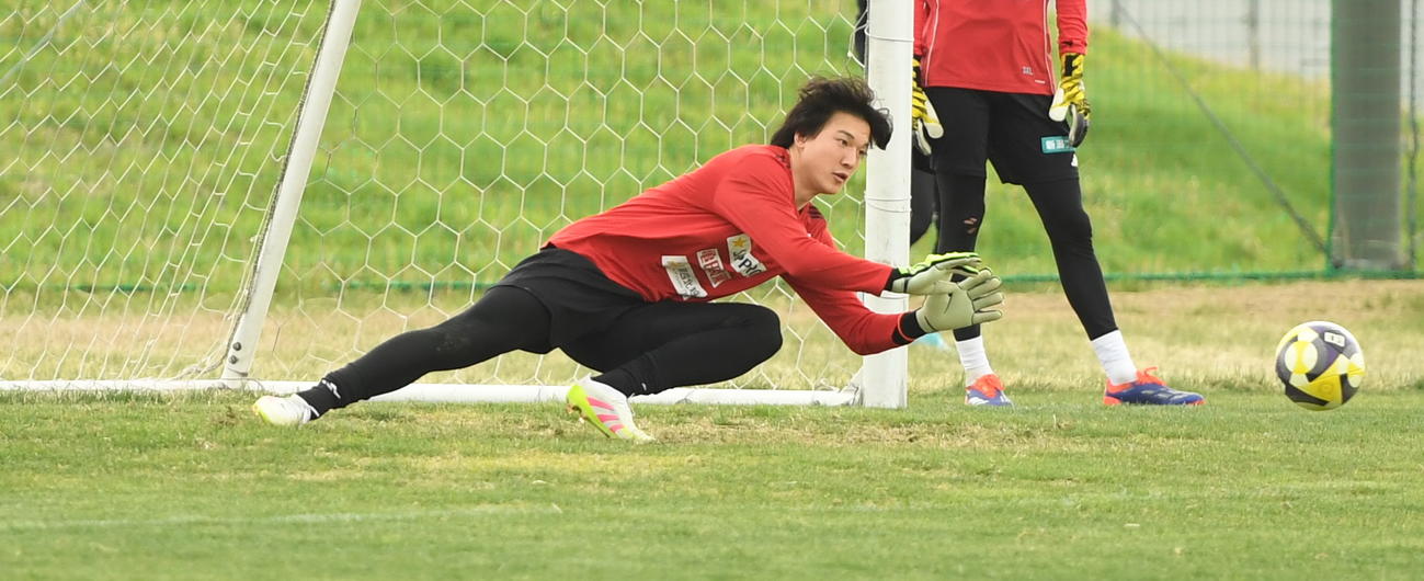 京都戦に向けたGK練習でボールに飛びつく新潟藤田（撮影・小林忠）