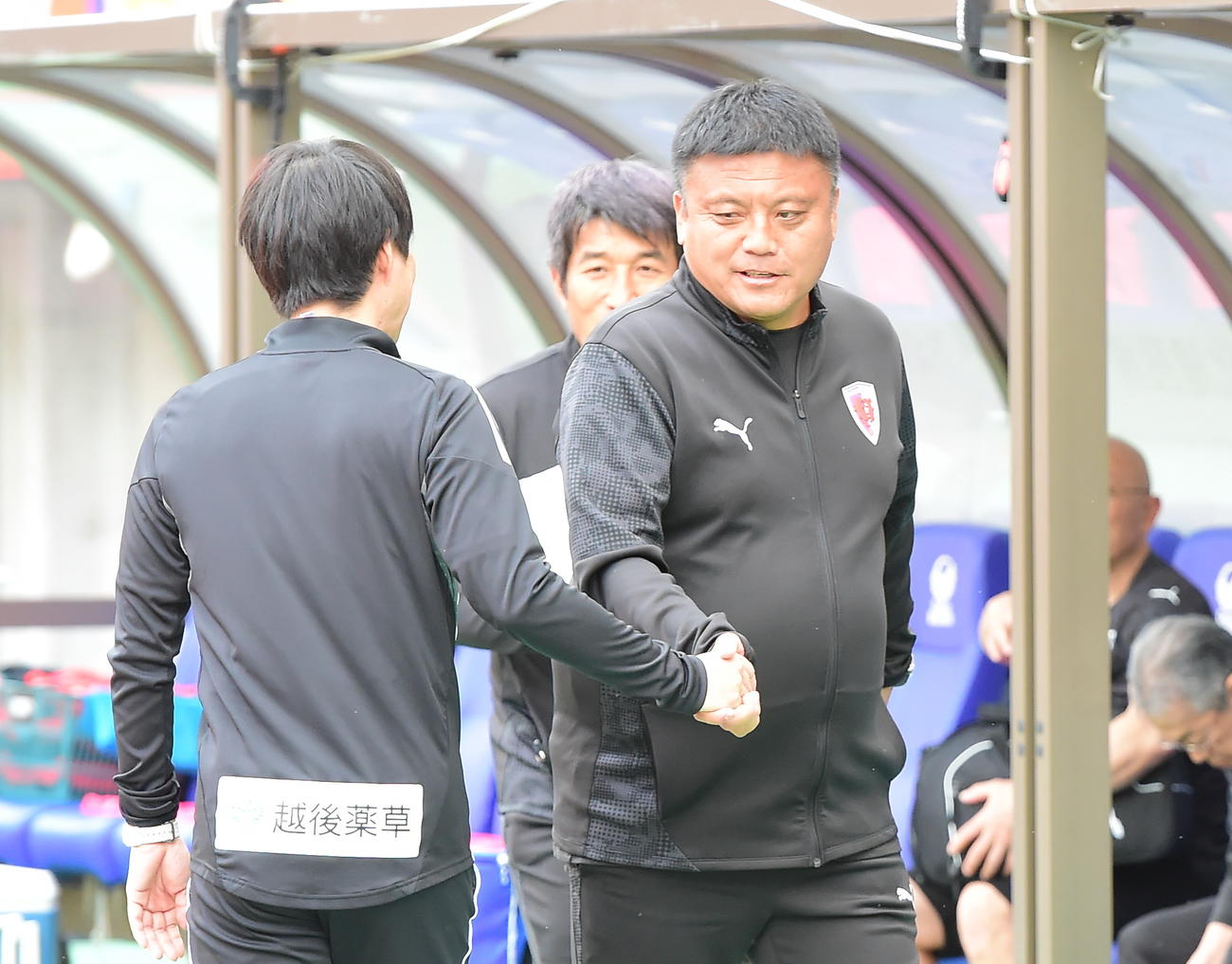 試合開始前に新潟・樹森監督（左）と握手をかわす京都・曺監督（撮影・小林忠）