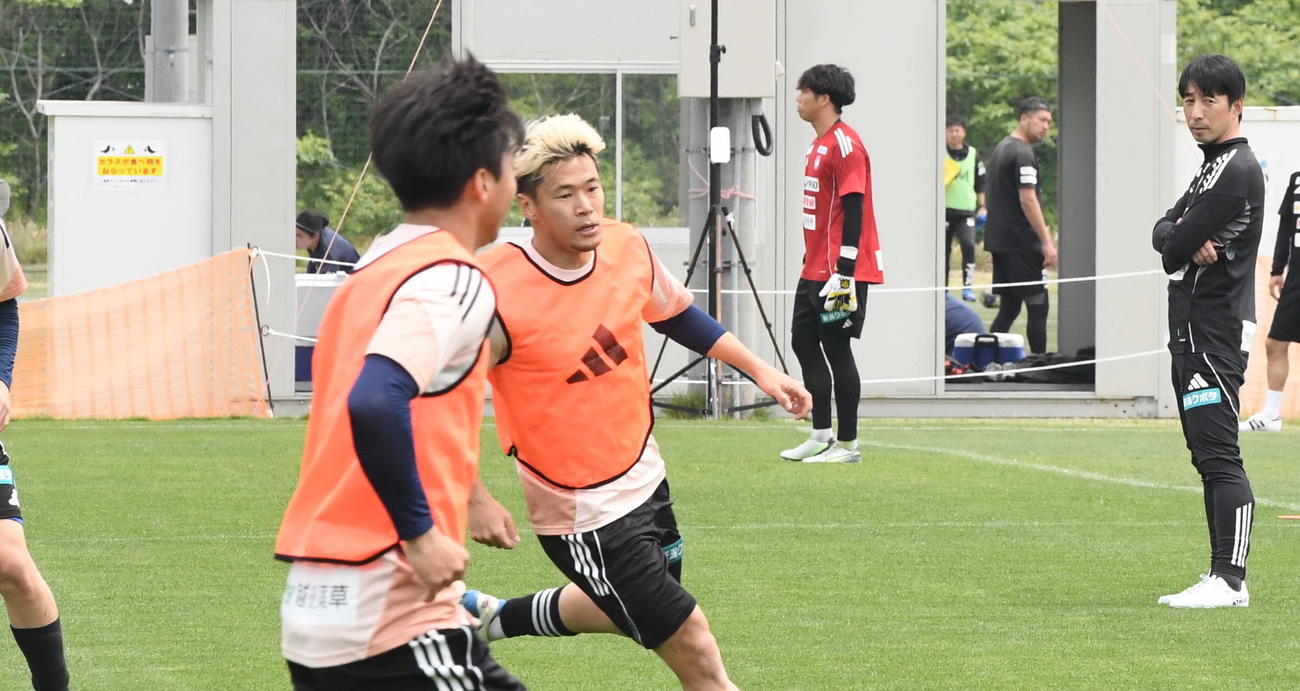 選手の動きをチェックする新潟・樹森監督（右）（撮影・小林忠）