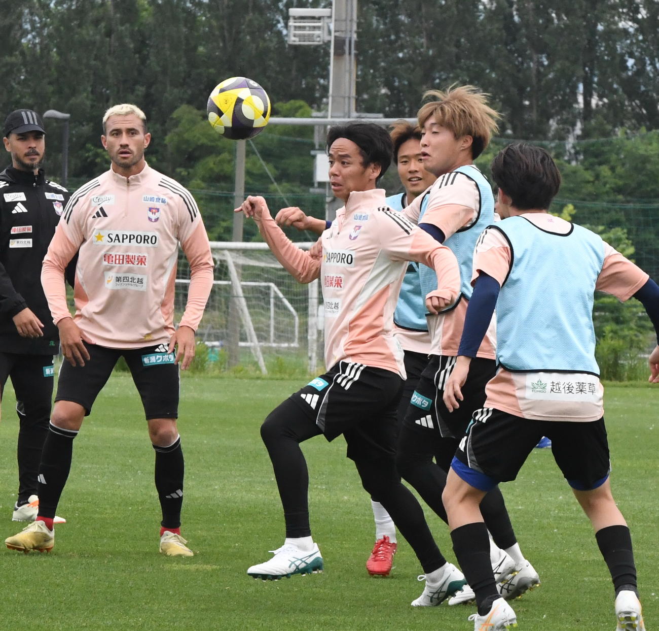 古巣新潟の練習に参加し、浮いたボールを胸でコントロールするシントトロイデン伊藤（中央）（撮影・小林忠）
