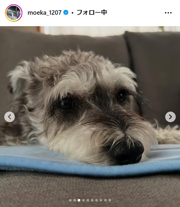 南萌華のインスタグラムから