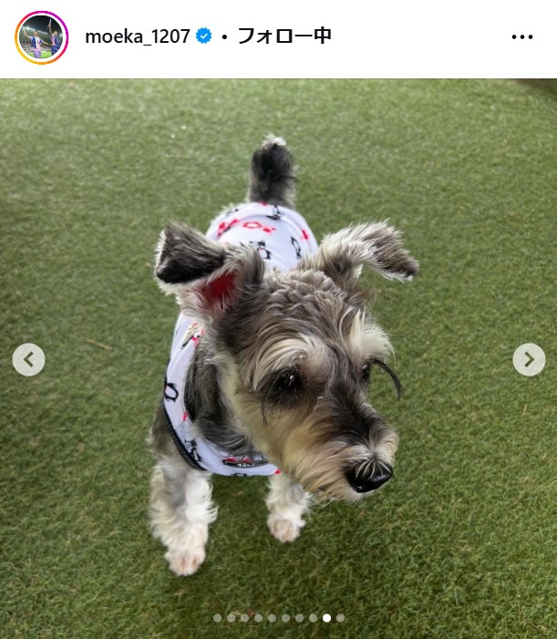 南萌華のインスタグラムから