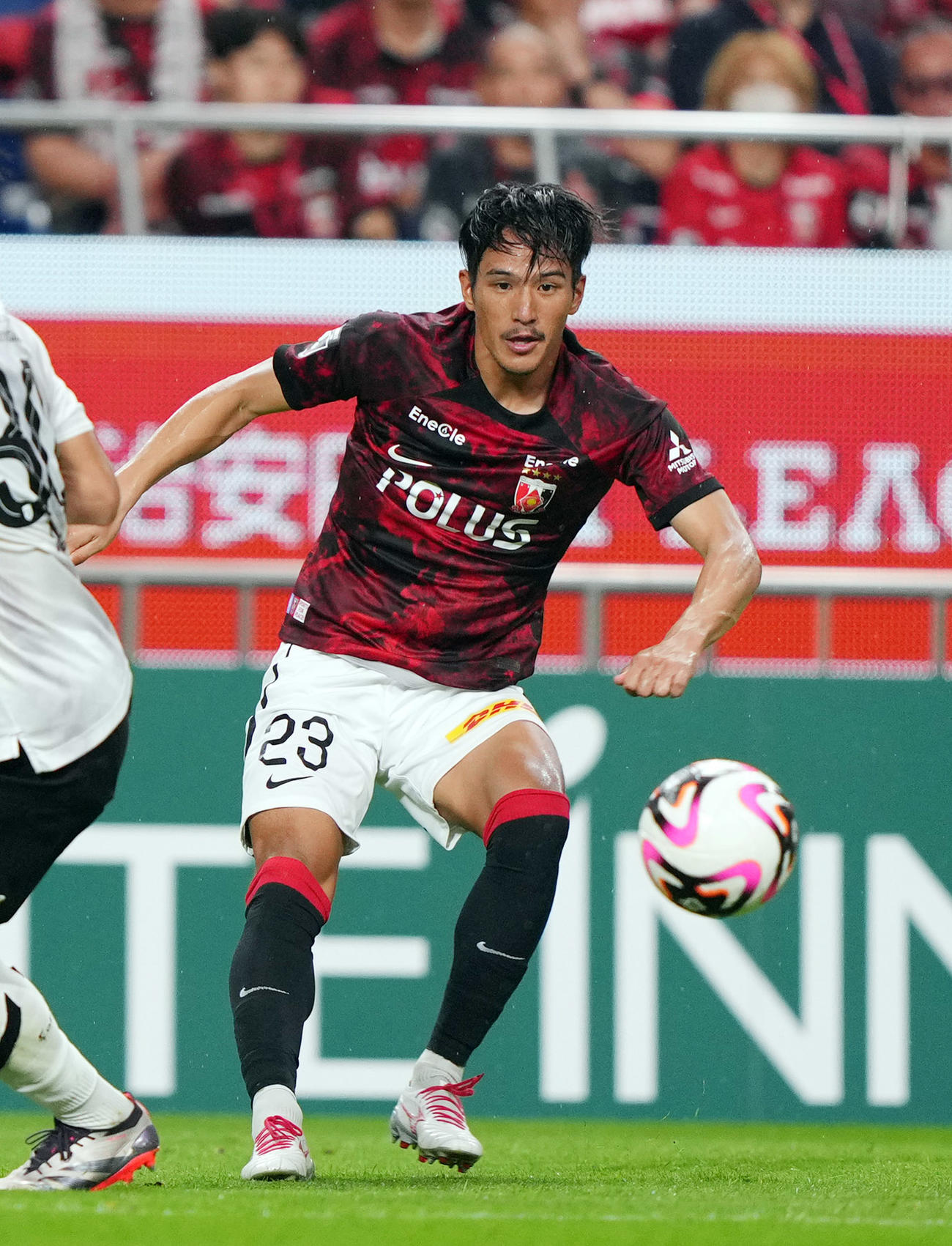 浦和DF井上黎生人＝24年9月