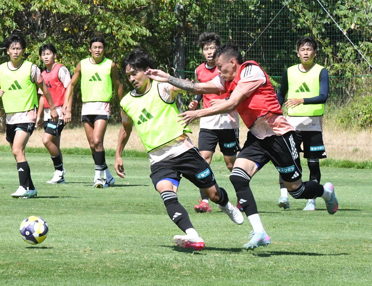 競り合いながらドリブルする白井（手前左）（撮影・小林忠）