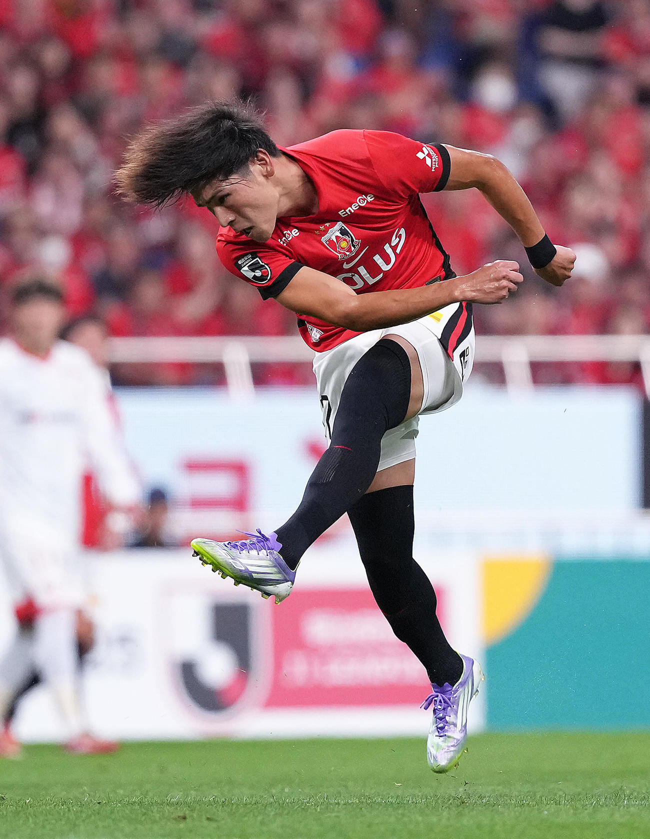 浦和対名古屋　前半、ゴールを決める浦和小森（撮影・足立雅史）