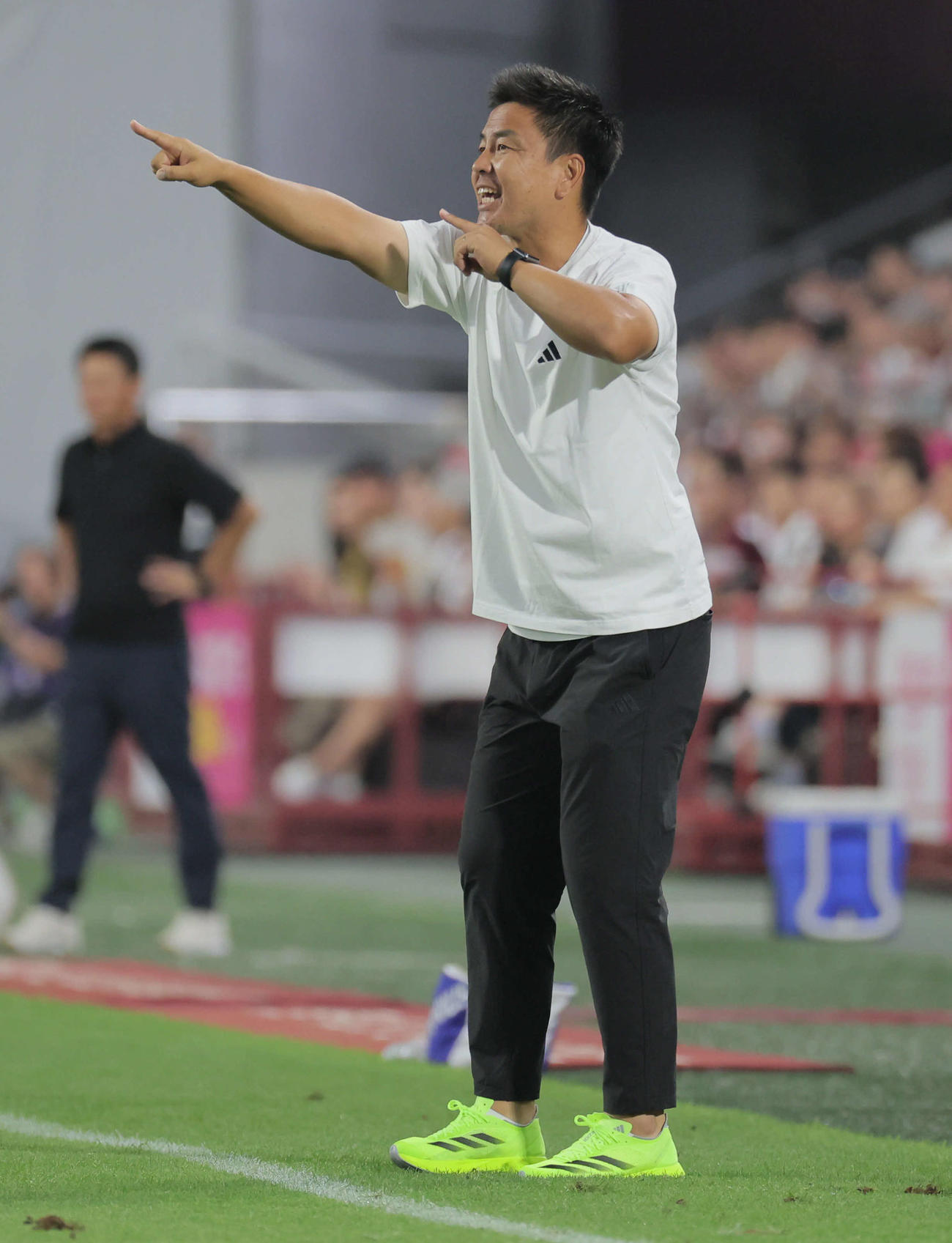 神戸対横浜　試合を見つめる横浜大島監督（撮影・宮崎幸一）