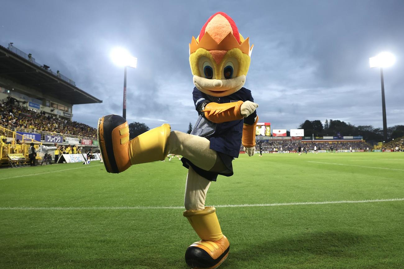 柏対横浜　試合前、ポーズを決める柏レイくん（撮影・宮地輝）
