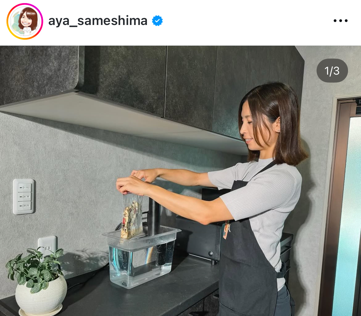鮫島彩さんのインスタグラムから
