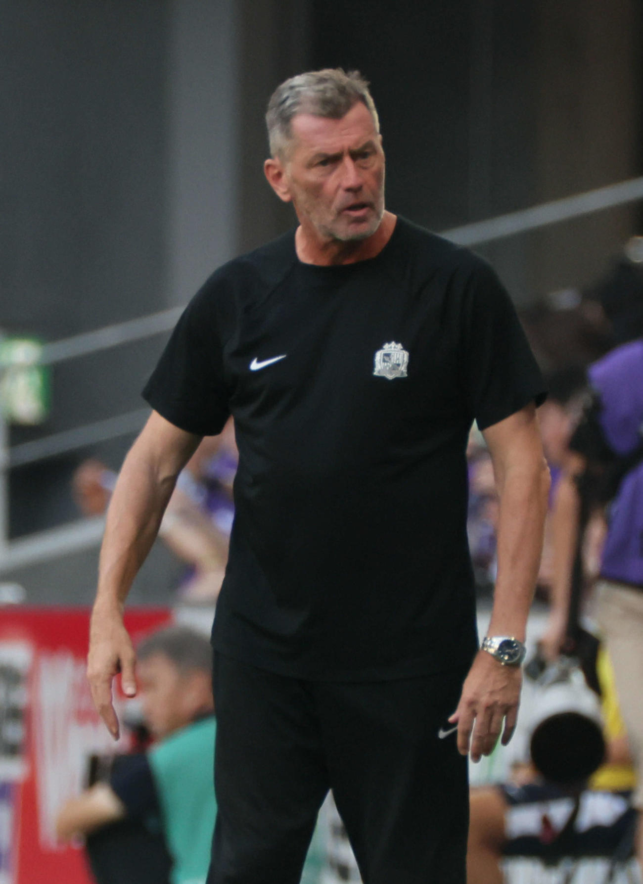 広島対横浜FC　後半　広島スキッベ監督（撮影・加藤孝規）