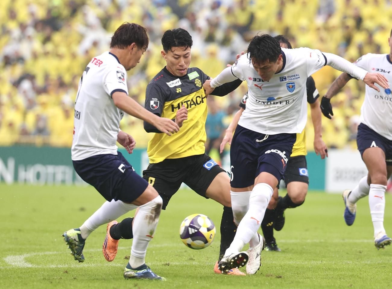 柏対横浜FC　後半、突破を阻まれる柏細谷（中央）（撮影・宮地輝）