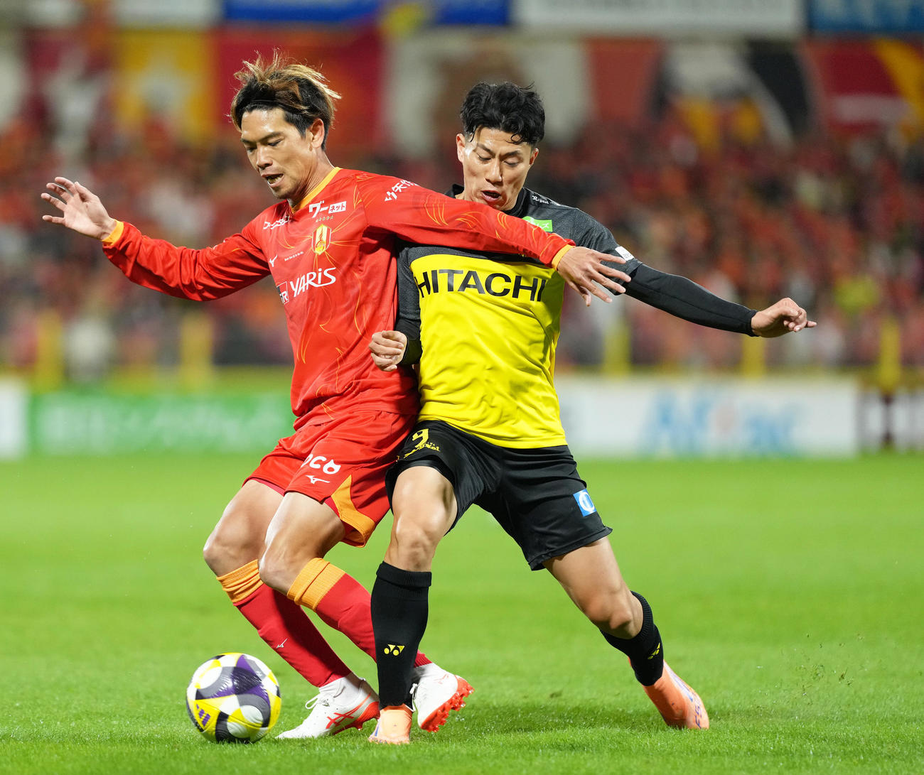 柏対名古屋　後半、競り合う柏細谷（右）（撮影・足立雅史）