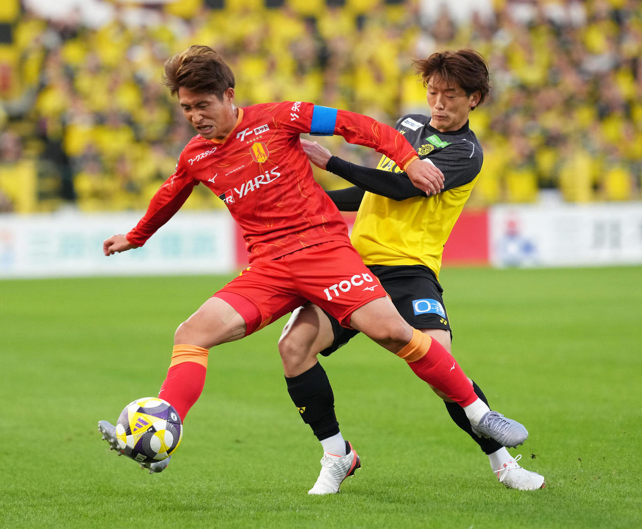 柏対名古屋　前半、競り合う名古屋和泉（左）と柏原田（撮影・足立雅史）