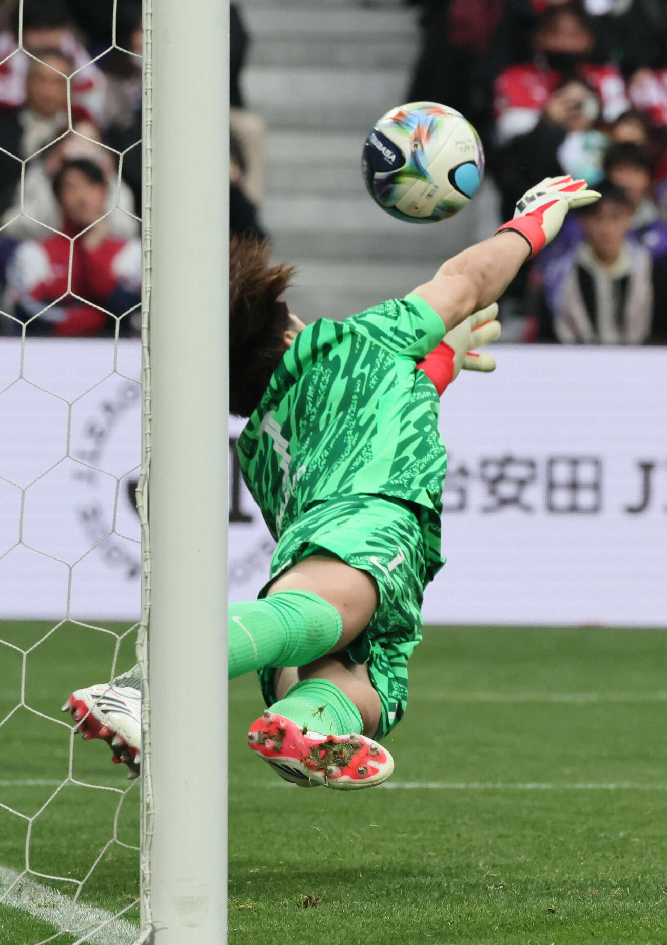 広島対岡山　PK戦で岡山藤井のシュートを止める広島GK大迫（撮影・加藤孝規）