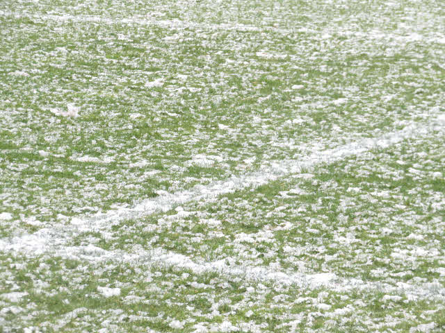東京Vの練習場に積もった雪。チームはピッチでの全体練習を中止し、室内のジムワークにとどめた