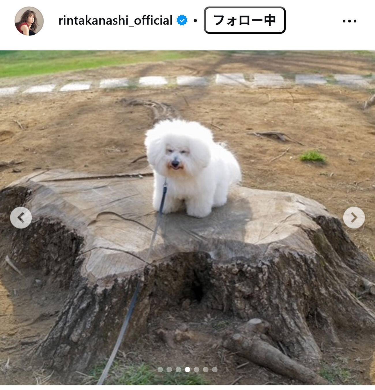 高梨臨のインスタグラムから