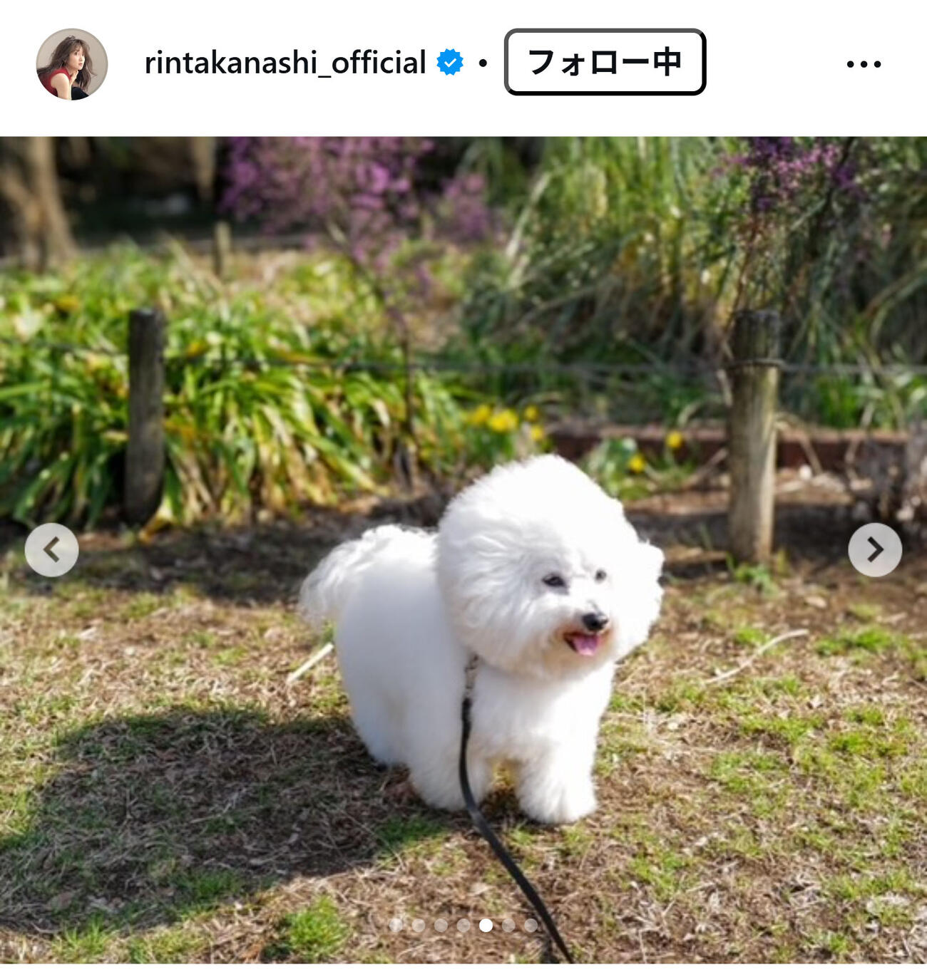 高梨臨のインスタグラムから