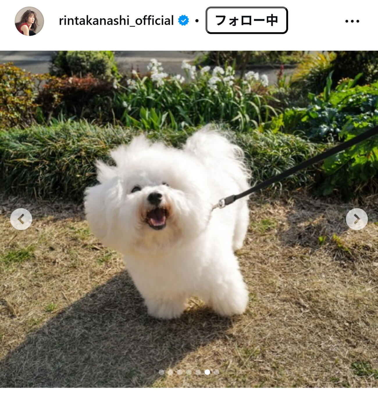 高梨臨のインスタグラムから