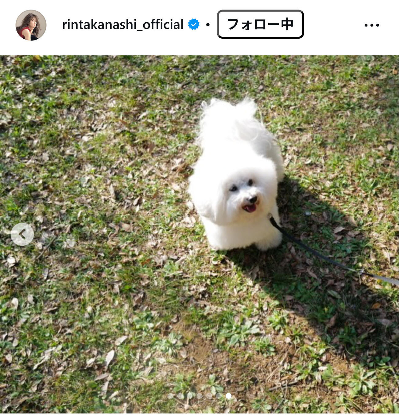 高梨臨のインスタグラムから